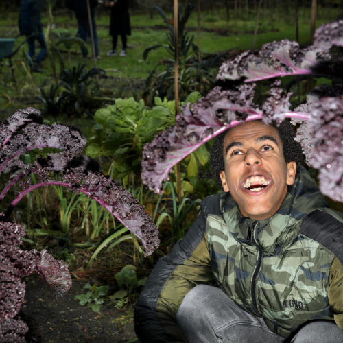 Nederland, Zeist, 28 november 2024Lucas oogst borenkoolFoto: Stijn Rademaker