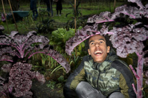 Nederland, Zeist, 28 november 2024Lucas oogst borenkoolFoto: Stijn Rademaker